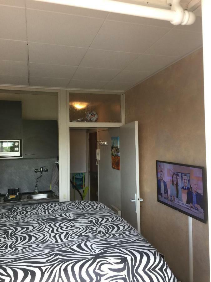 Frejus Studio المظهر الخارجي الصورة